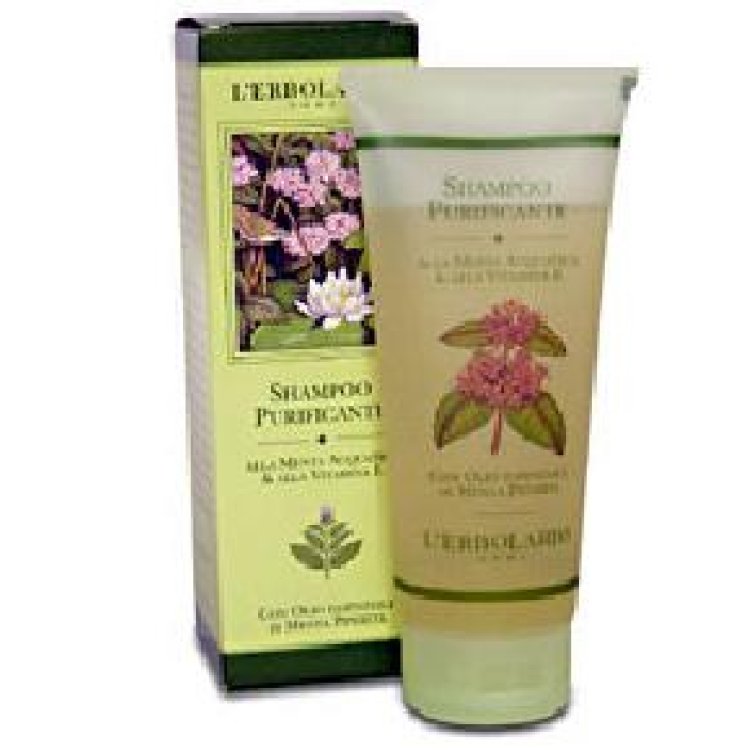 SHAMPOO PURIFICANTEMENTA/VIT