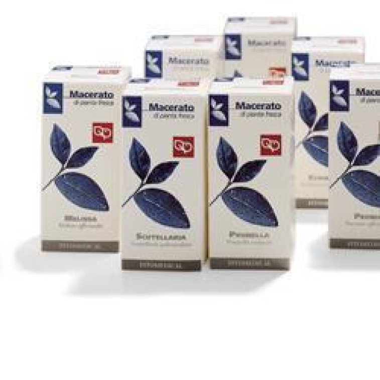 UVA URSINA 200ML TM