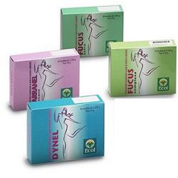 FUCUS EXTRA 50TAV 766