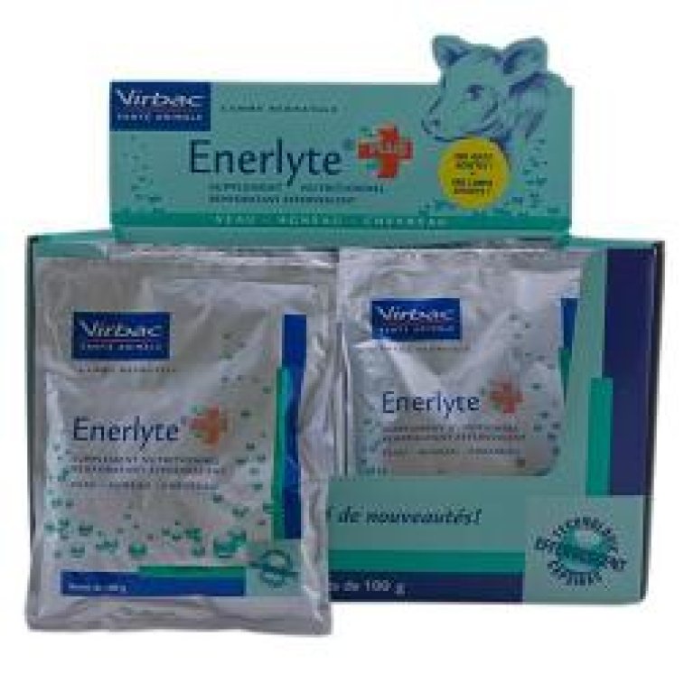 ENERLYTE PLUS 24 BS