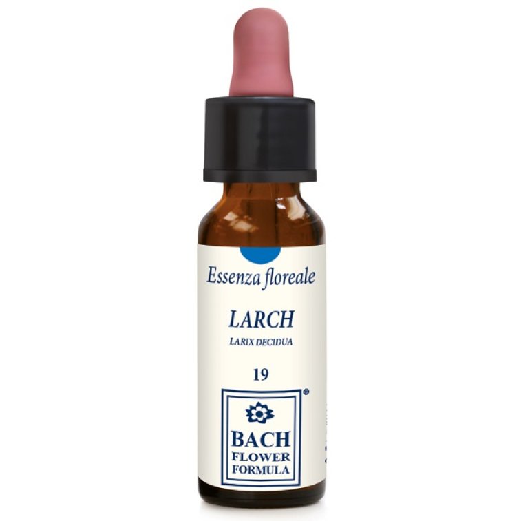 LARCH ORIGINAL 10ML GTT