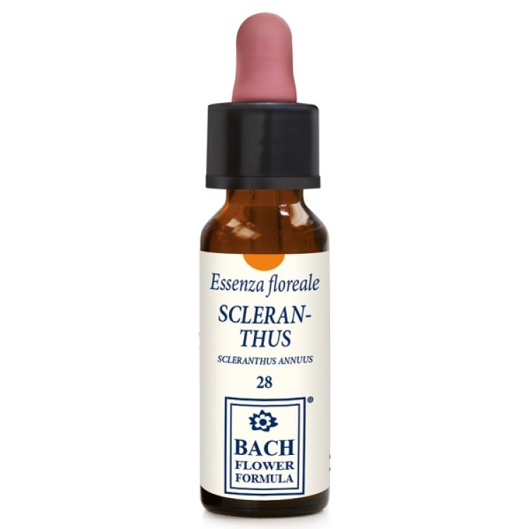 SCLERANTHUS ORIGINAL 10ML GTT