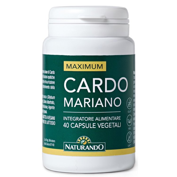 CARDO MARIANO 40CPS CARDO MARIANO 40CPS