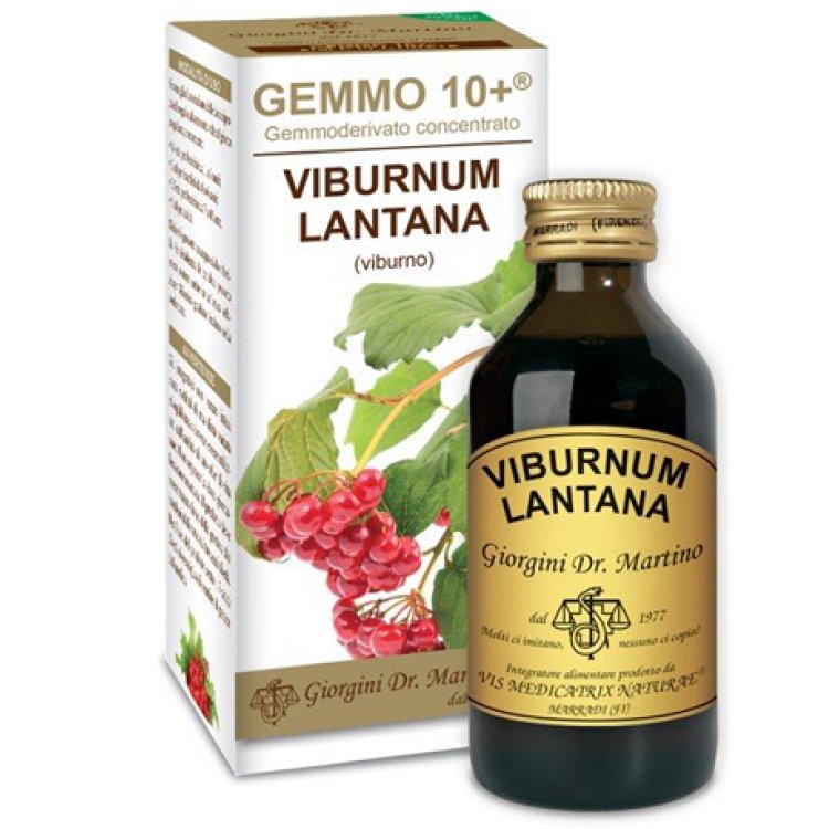 VIBURNO LIQ ANALCOLICO 100ML VIBURNO LIQ ANALCOLICO 100ML