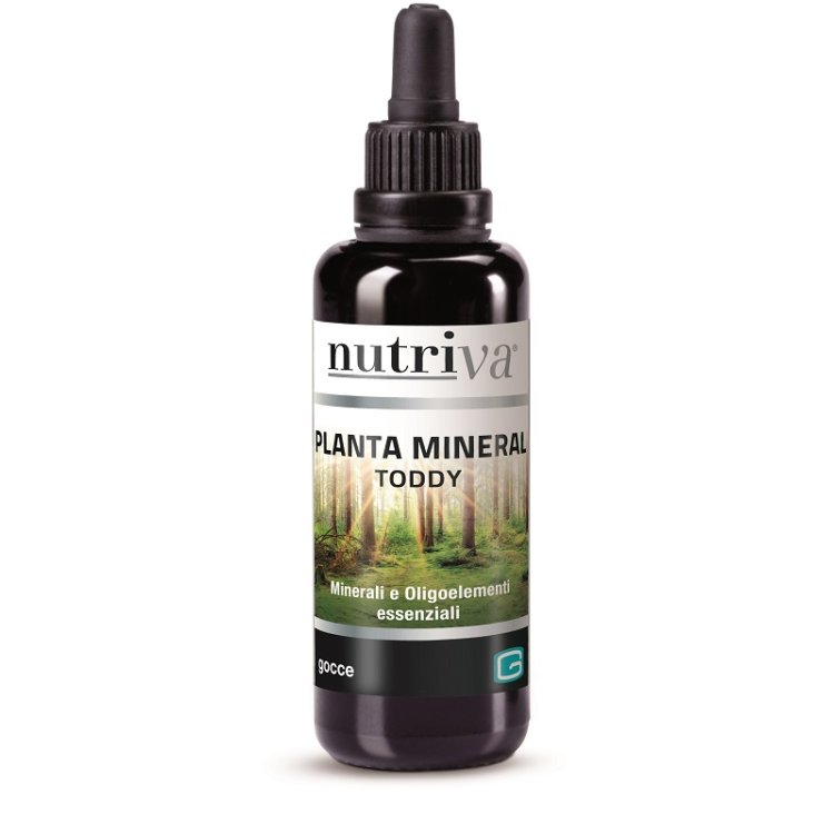 NUTRIVA PLANTA MINERAL TODDY NUTRIVA PLANTA MINERAL TODDY