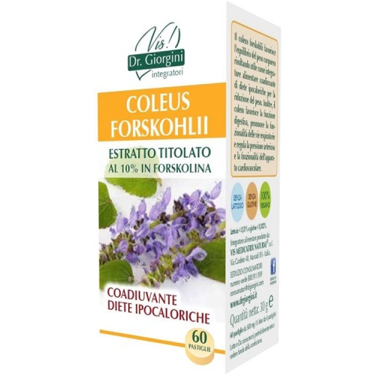 COLEUS FOR ESTR TIT 60PAST COLEUS FOR ESTR TIT 60PAST