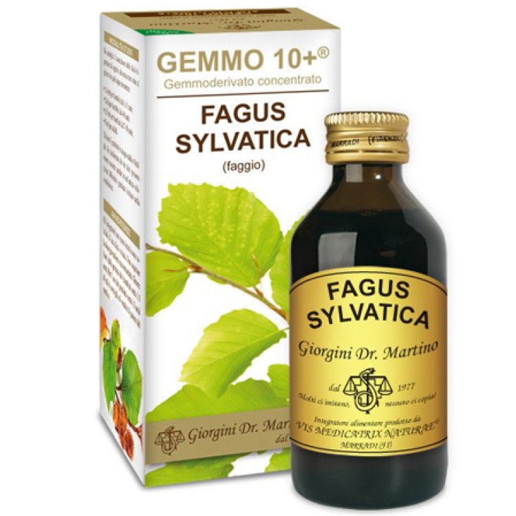 FAGGIO 100ML ANALCO GEMMO 10+ FAGGIO 100ML ANALCO GEMMO 10+