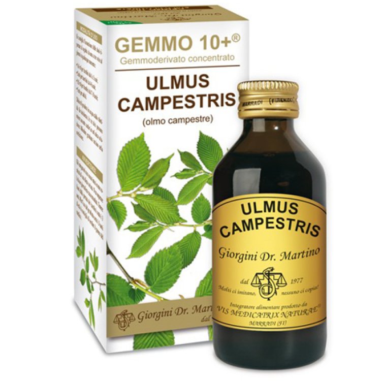 OLMO CAMP 100ML ANALCO GEM 10+ OLMO CAMP 100ML ANALCO GEM 10+