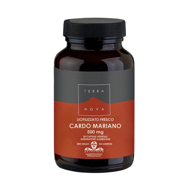 TERRANOVA CARDO MA 500MG 50CPS