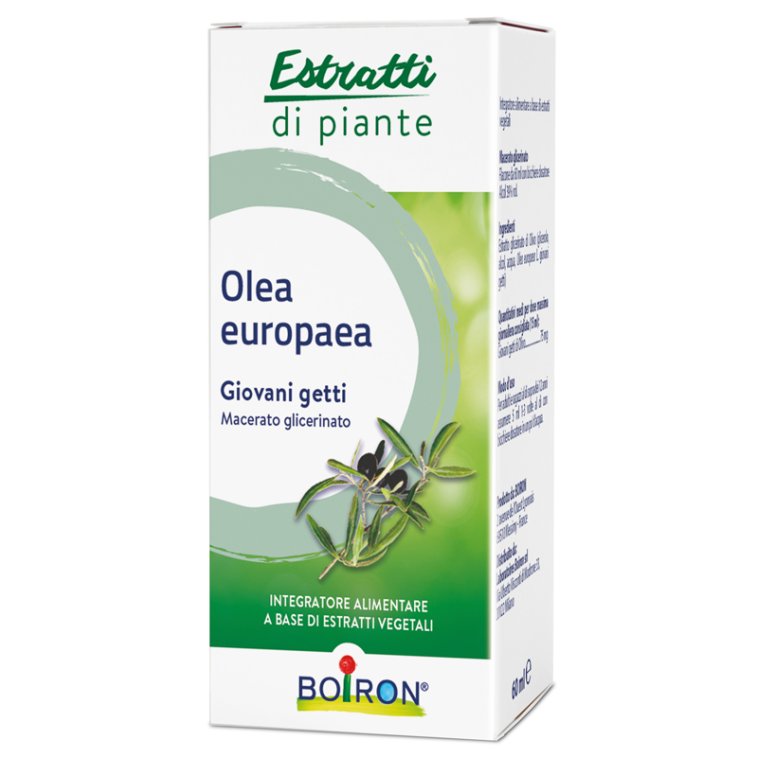 OLEA EUROPAEA MG 60ML INT