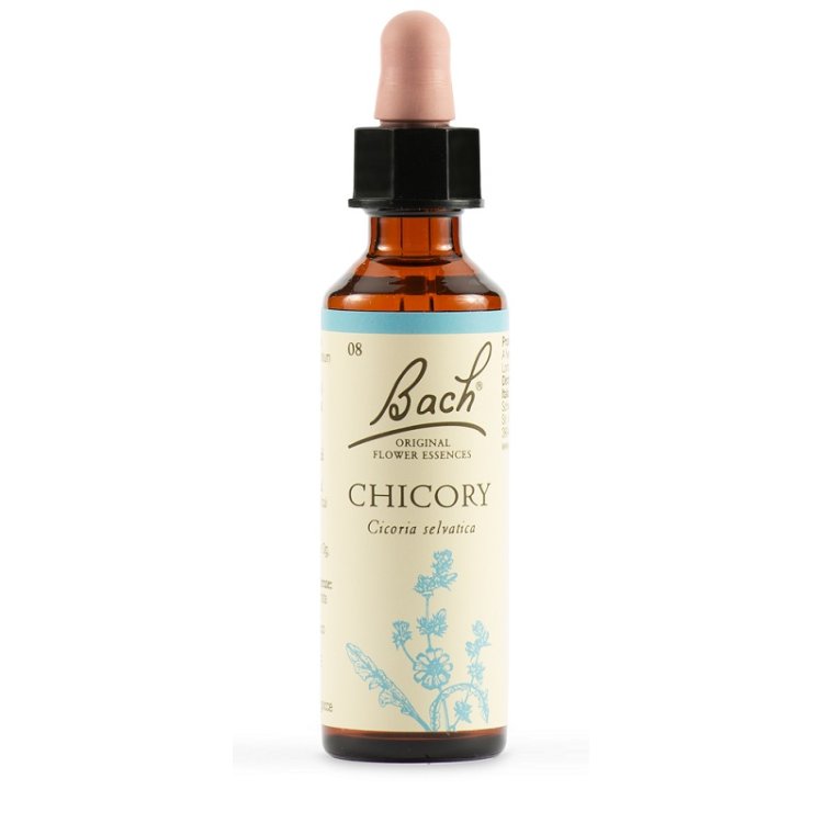 CHICORY BACH ORIG 20ML CHICORY BACH ORIG 20ML