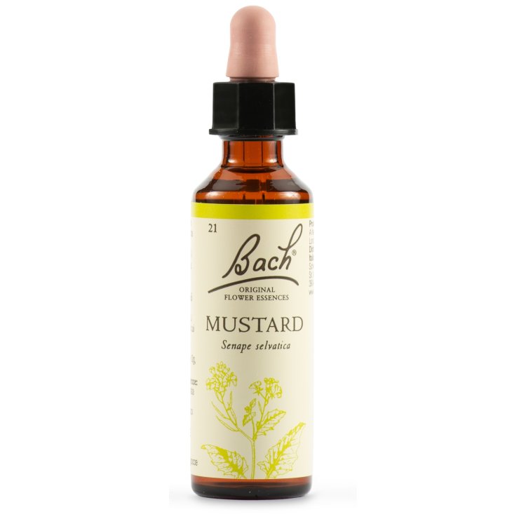 MUSTARD BACH ORIG 20ML MUSTARD BACH ORIG 20ML