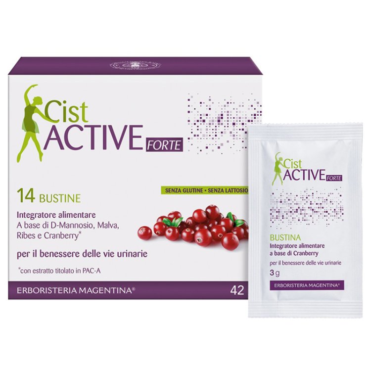 CIST ACTIVE BUSTINE 14BUST CIST ACTIVE BUSTINE 14BUST