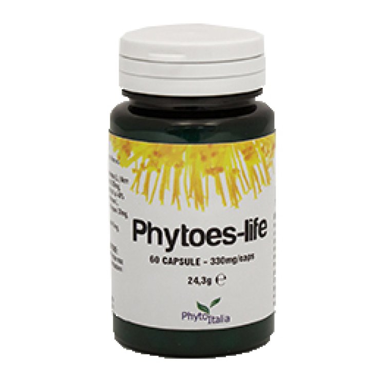 PHYTOES LIFE 60CPS PHYTOES LIFE 60CPS
