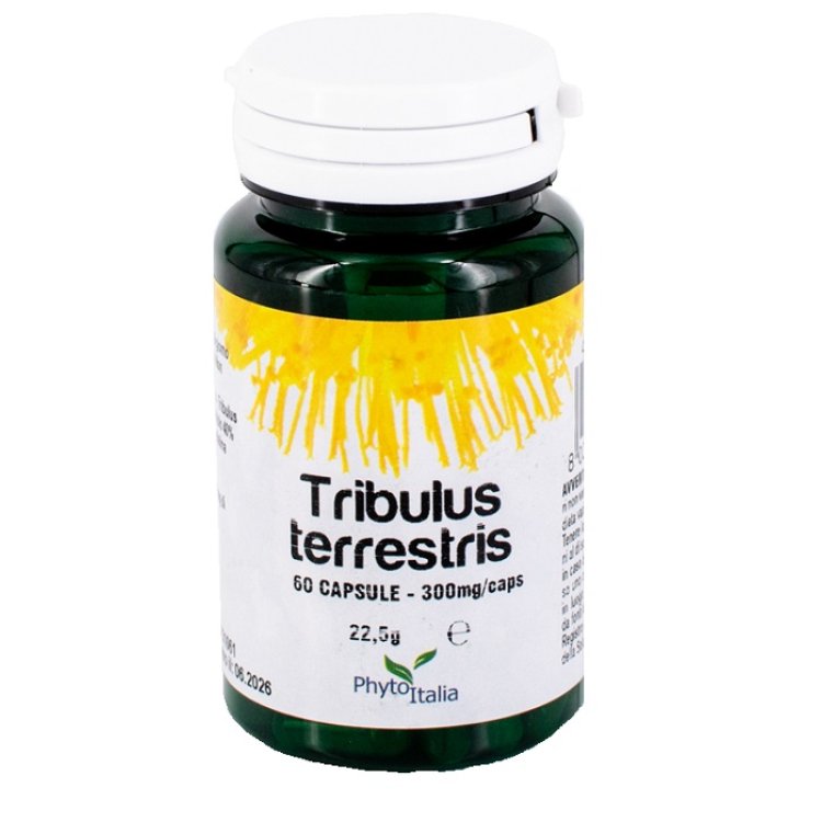 TRIBULUS TERRESTRIS 30CPS TRIBULUS TERRESTRIS 30CPS