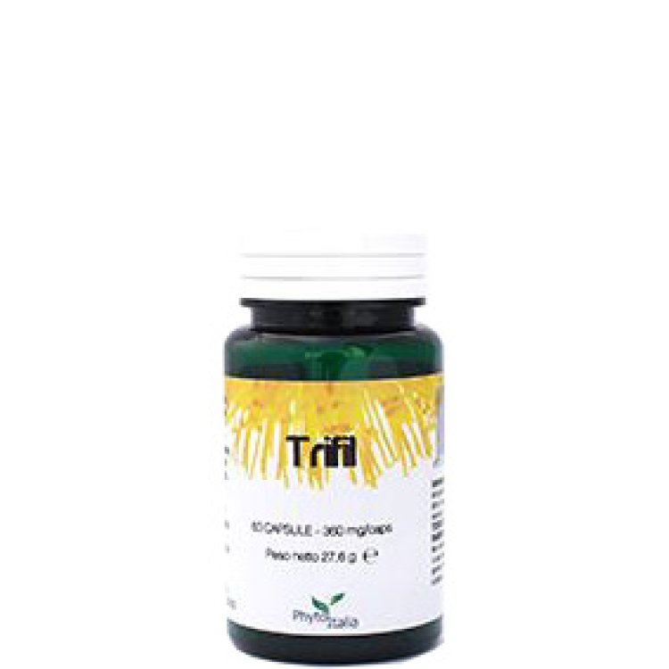 TRIFIL 60CPS TRIFIL 60CPS