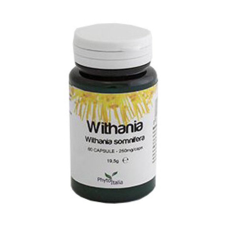 WITHANIA SOMNIFERA 60CPS WITHANIA SOMNIFERA 60CPS