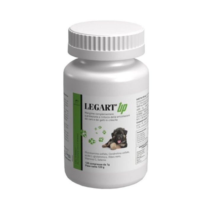 LEGART UP 120CPR LEGART UP 120CPR