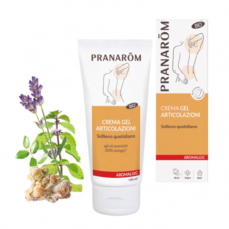 PRANAROM ALGIC CREMAART100ML