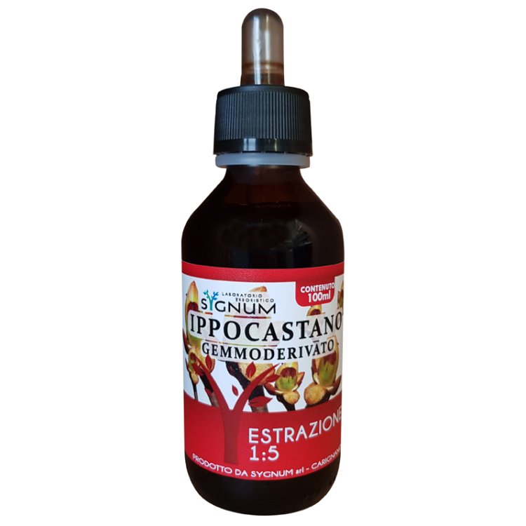 IPPOCASTANO GEMME 100ML