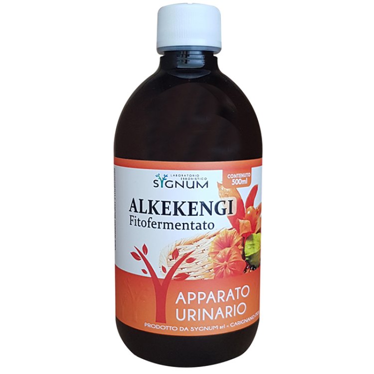 ALKEKENGI 500ML