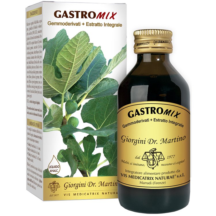 GASTROMIX LIQUIDO ANALC 100ML GASTROMIX LIQUIDO ANALC 100ML