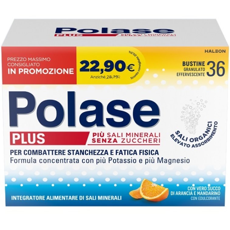 POLASE PLUS 36BUST PROMO 2024