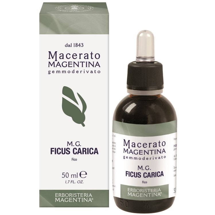 FICUS CARICA MACERATO MAGE50ML FICUS CARICA MACERATO MAGE50ML