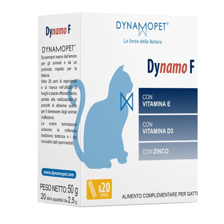 DYNAMO F 20STICK 2 5G DYNAMO F 20STICK 2 5G