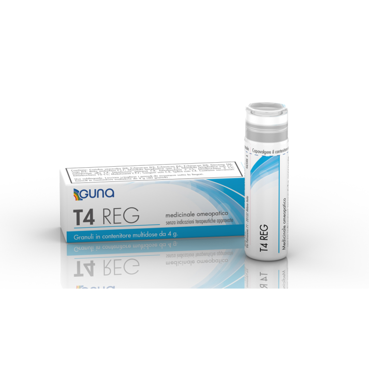 T4 REG 4G 80GR CONT MULTID
