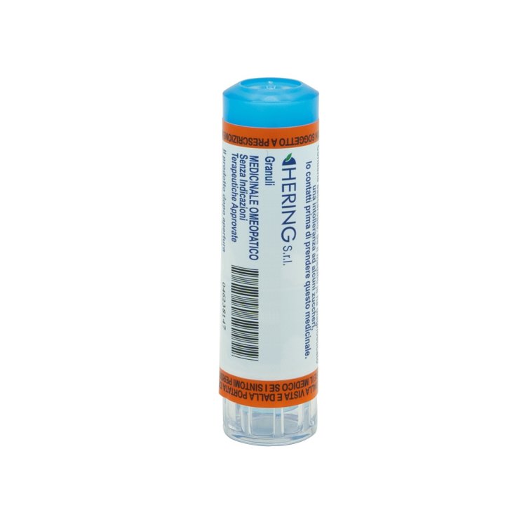 SPONGIA TOSTA*5CH 80GR 4G