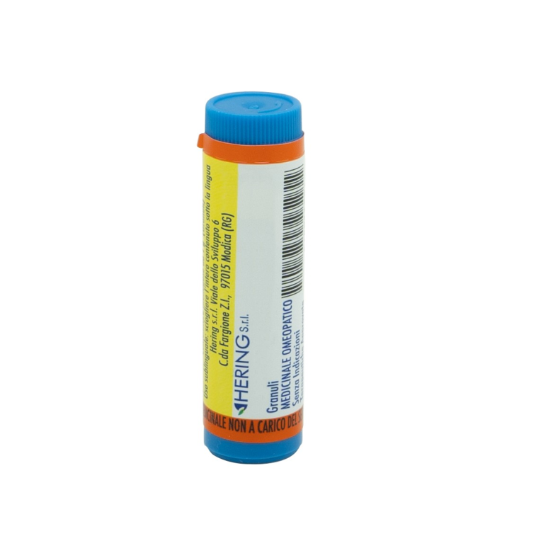 ARNICA MONTANA 1000K GL 1G