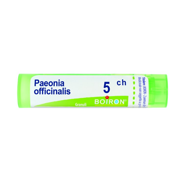 PAEONIA OFFICINALIS*5CH 80GR