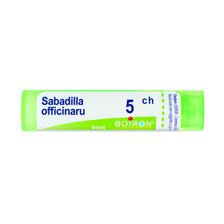SABADILLA OFF BOI 5CH GR 4G