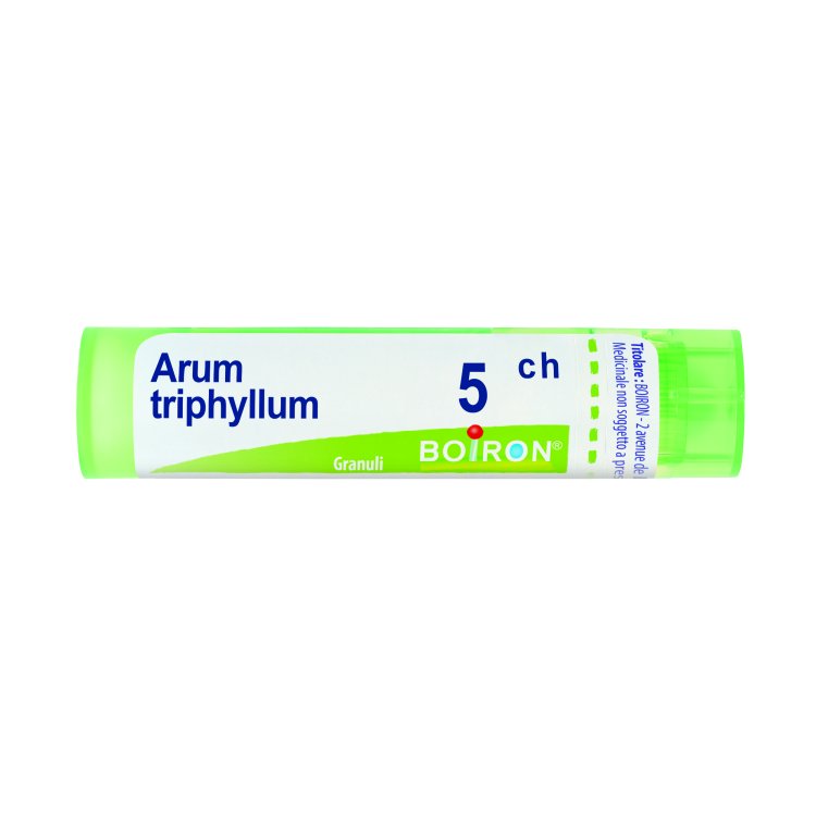 ARUM TRIPHYLLUM*5CH 80GR 4G