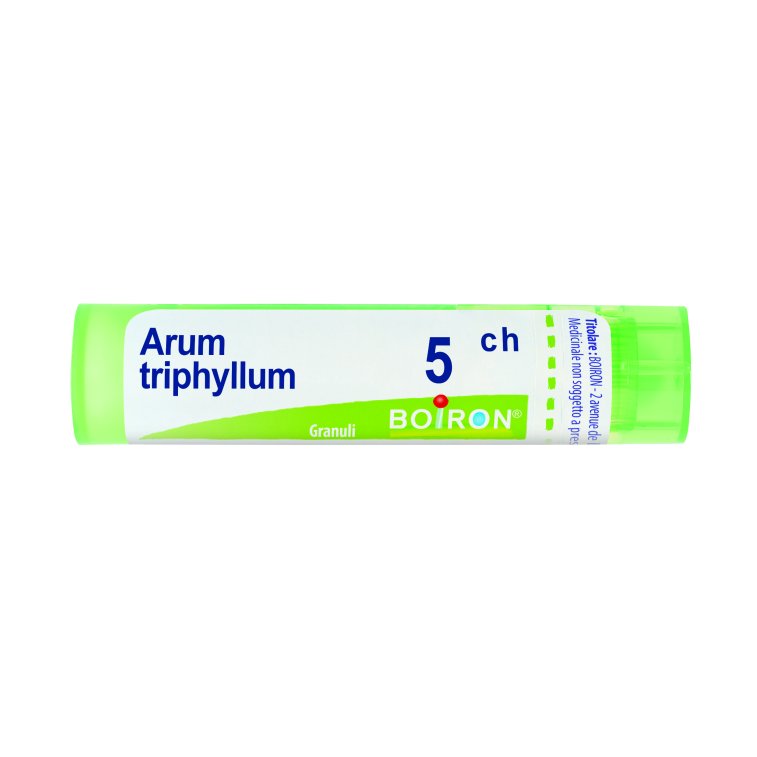 ARUM TRIPHYLLUM*5CH 80GR 4G